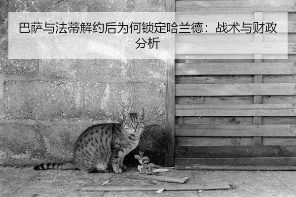 ba-sa-yu-fa-di-jie-yue-hou-wei-he-suo-ding-ha-lan-de-zhan-shu-yu-cai-zheng-fen-xi-2-868.jpg