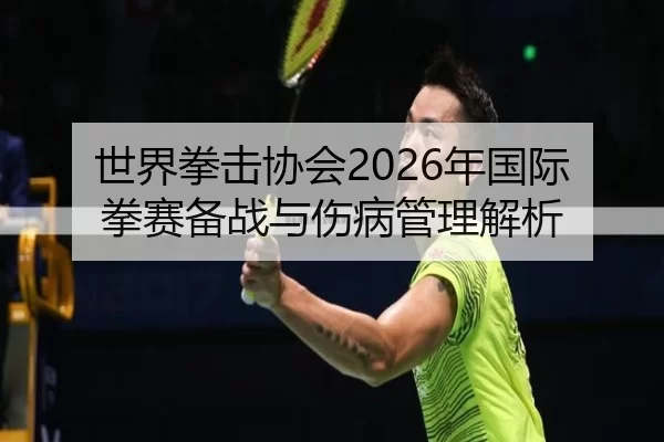 世界拳击协会2026年国际拳赛备战与伤病管理解析